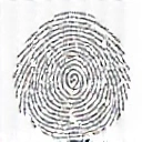 Icona approccio personalizzato